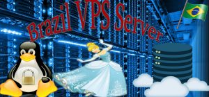 Exploring the Objectives and Benefits of Brazil VPS Server