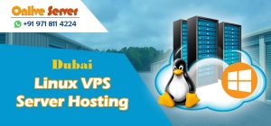 Consider for Dubai Cheap Linux VPS Servers to Meet Your Hosting Needs