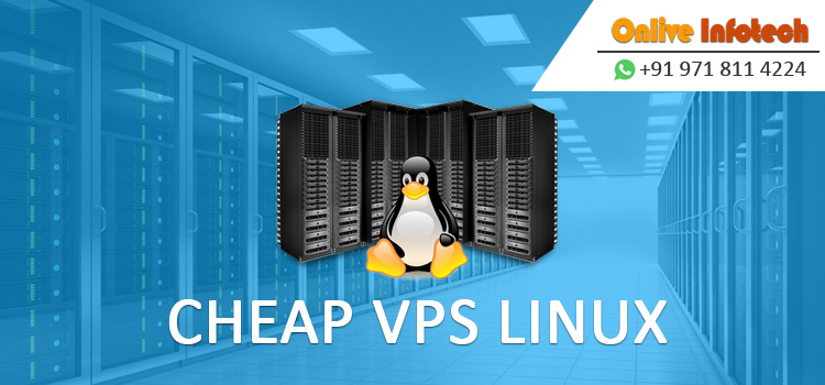 Cheap VPS Linux Server Hosting – Best Suitable for Online Business Requirement