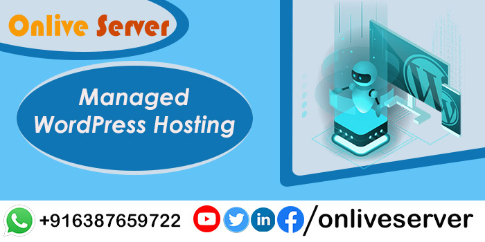 Conduct Your Website With Managed WordPress Hosting – Onlive Server