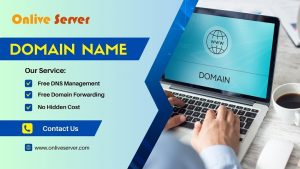 Find the Perfect Domain Name for Your Business with Onlive Server