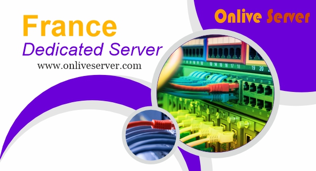 Buy the Protectable France Dedicated Server by Onlive Server