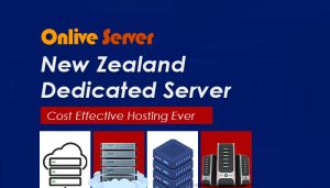 New Zealand Dedicated Server is the Best Choice for Your Website