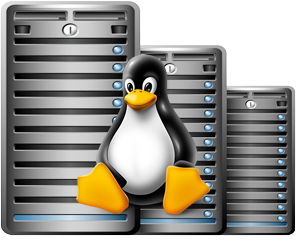 Linux Dedicated Server Hosting