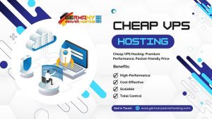 Cheap VPS Hosting: Premium Performance, Pocket-friendly Price