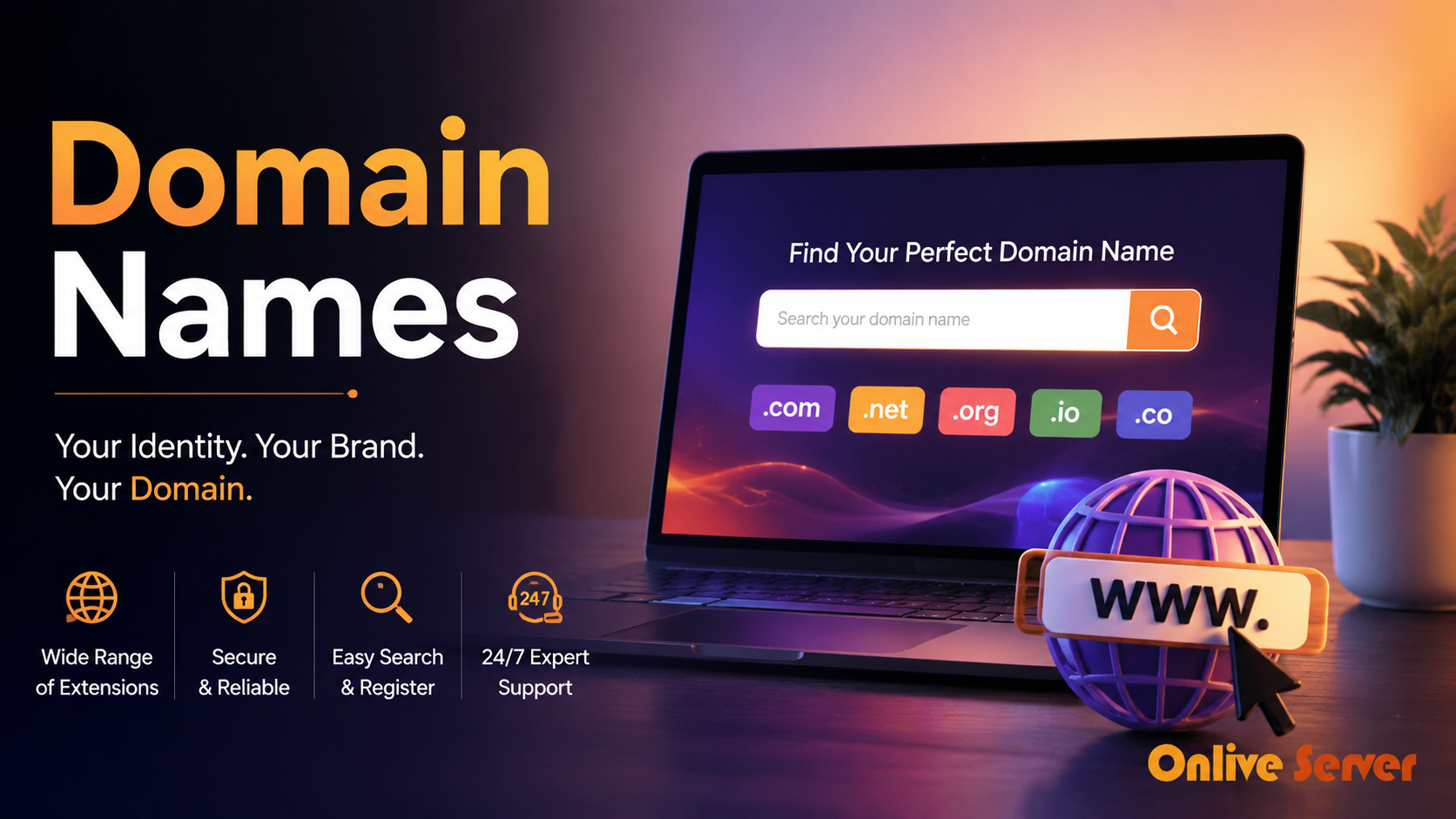 Discover the Value of Pre-Owned Domain Names with Onlive Server